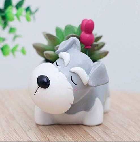 Schnauzer – Vasos de plantas suculentas para cães, para escritório, casa, varanda, paisagem, vasos de flores decorativos criativos 1 Schnauzer – Vasos de plantas suculentas para caes para escritorio