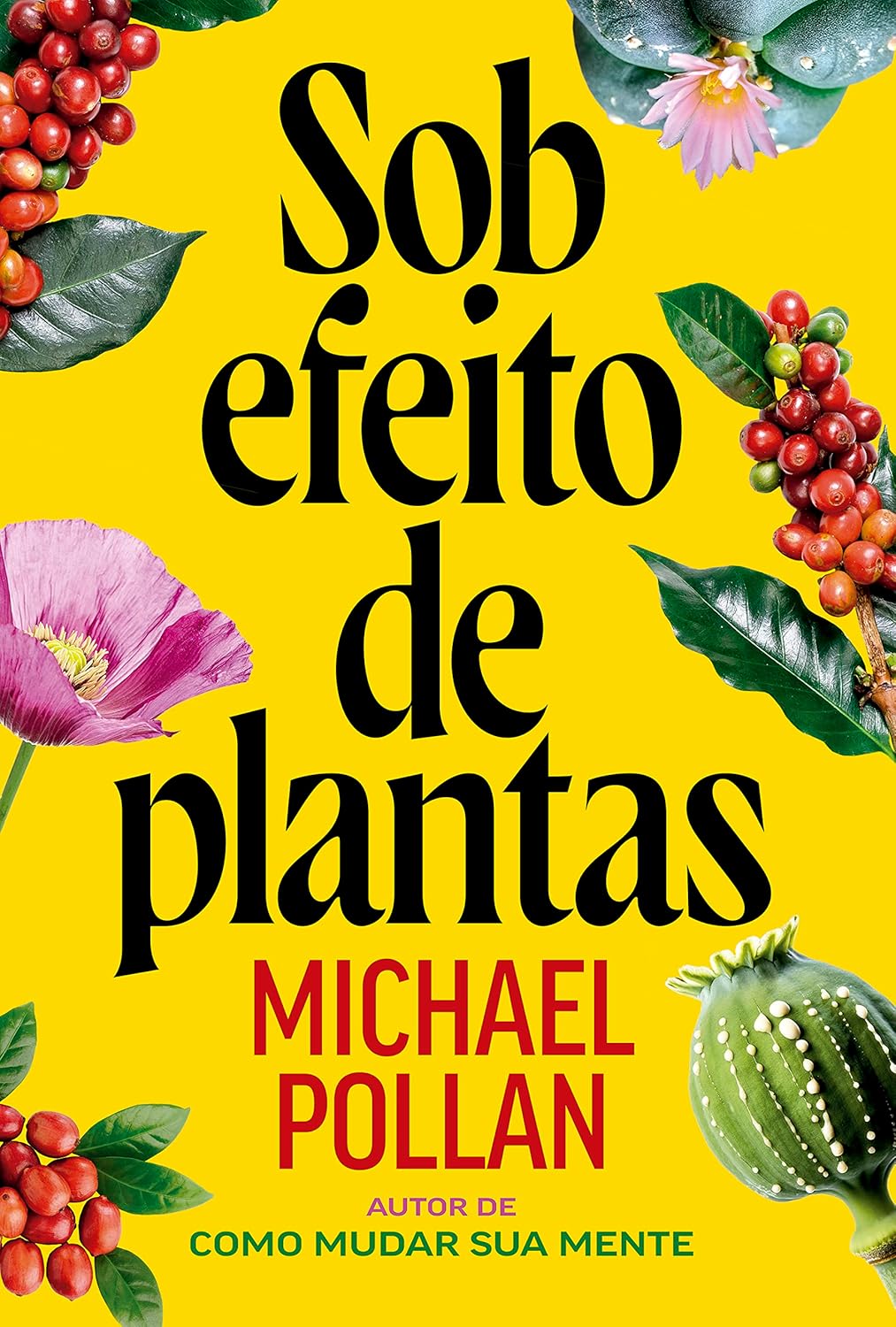Sob efeito de plantas 1 Sob efeito de plantas