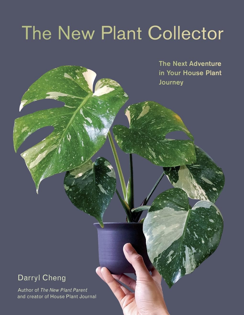 The New Plant Collector: The Next Adventure in Your House Plant Journey 1 The New Plant Collector The Next Adventure in Your House