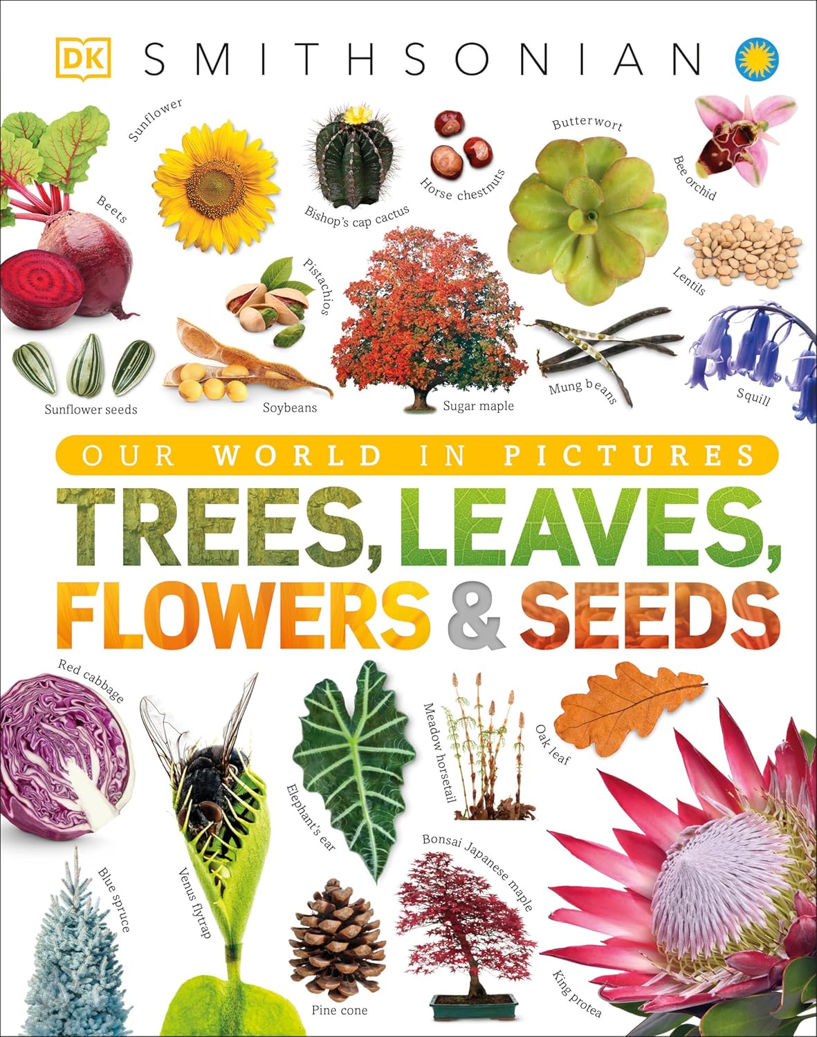 Trees, Leaves, Flowers and Seeds: A Visual Encyclopedia of the Plant Kingdom 1 Trees Leaves Flowers and Seeds A Visual Encyclopedia of the