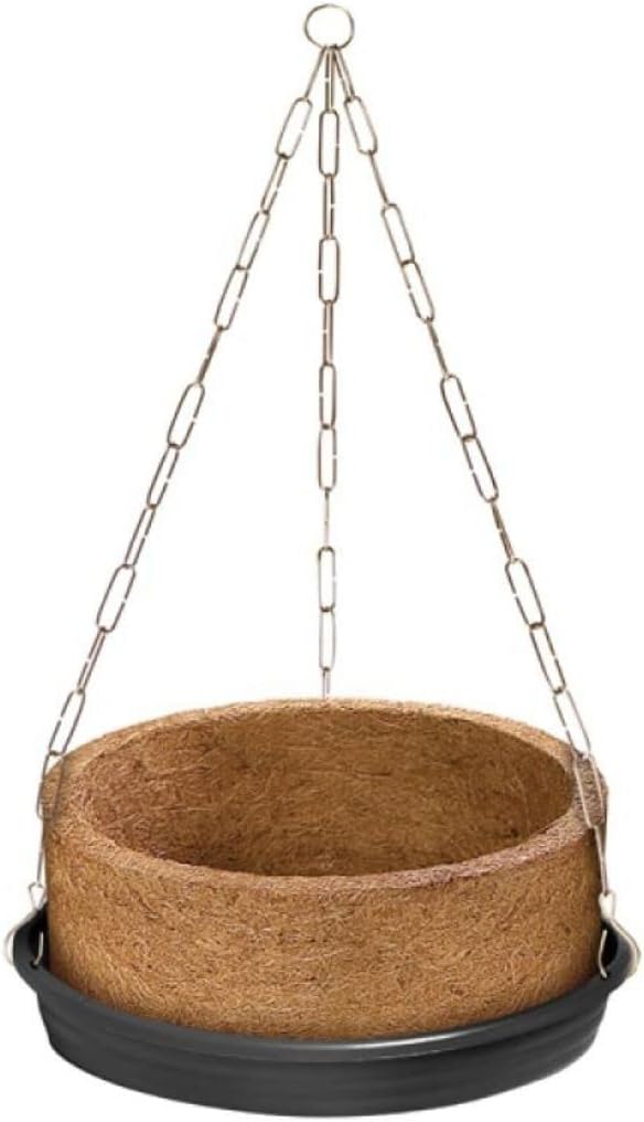 Vaso Natural Xaxim de Fibra de Coco Com Suporte Suspenso Completo Grande 05 Para Samambaia 1 Vaso Natural Xaxim de Fibra de Coco Com Suporte Suspenso