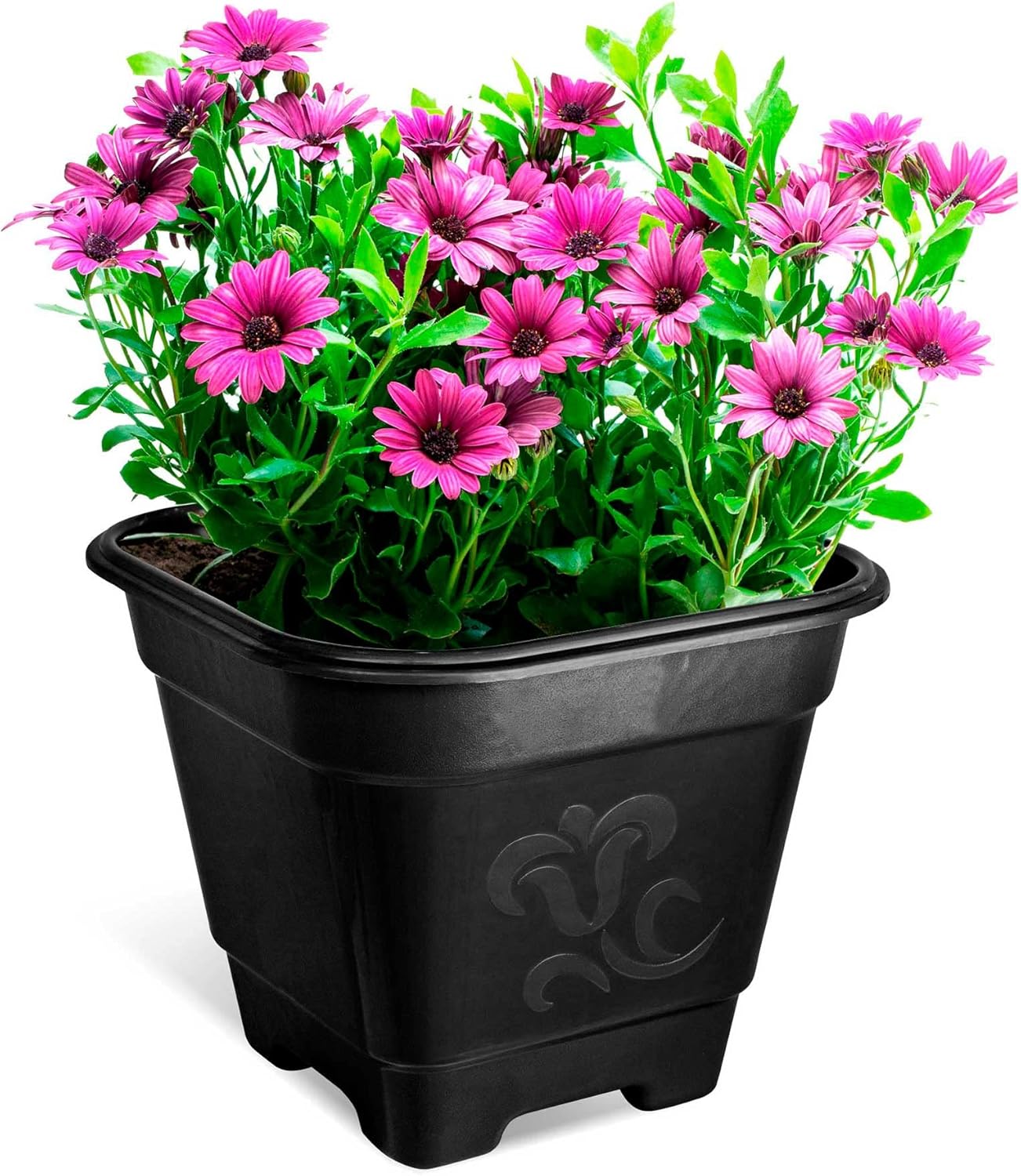Vaso de Plantas Quadrado Grande 30x30x29 Preto 25295 Arqplast 1 Vaso de Plantas Quadrado Grande 30x30x29 Preto 25295 Arqplast