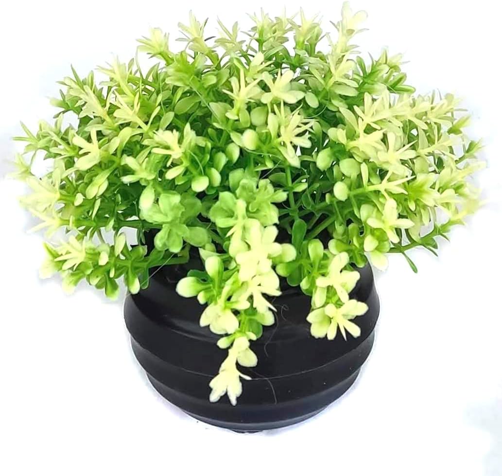 decoração planta artificial decorativa vaso vasinho flor A plantas decoração (VA7006_vdc) 1 decoracao planta artificial decorativa vaso vasinho flor A plantas decoracao