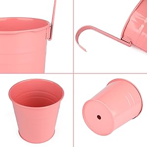 vasos de plantas