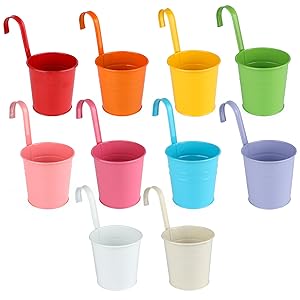 vasos de flores de jardim