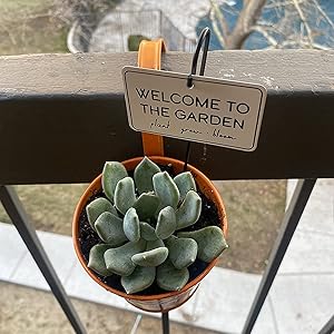 vasos de metal para plantas