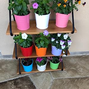 vasos de plantas