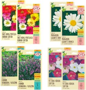 Kit Semente de Flores - Lavanda + Margarida + Onze Horas