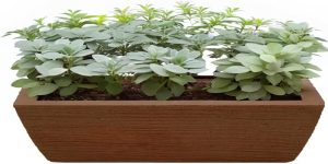 Vaso Jardineira de polietileno 64cm para plantas jardim e decoraçao (MARROM)