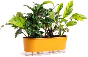 Jardineira Autoirrigável 40cm x 16cm - Terrazzo Arenito
