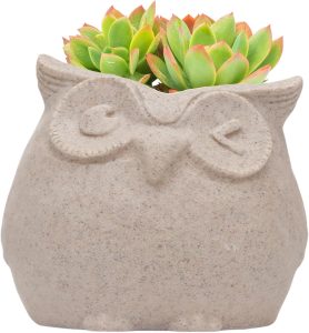 Vasos para plantas de animais, vaso de flores de resina - Floreiras em formato de animal vasos para plantas - Recipiente de plantas em vasos pequenos plantadores internos para corredor, Kumprohu