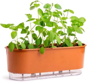 Jardineira Autoirrigável 40cm x 16cm - Terrazzo Terracota