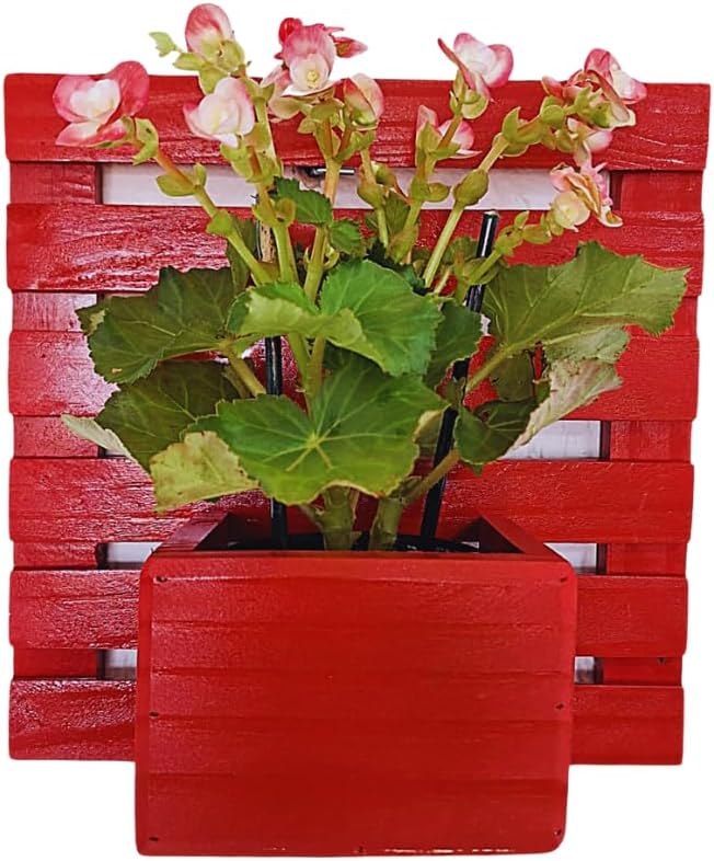 Floreira Cachepot Vaso Painel 30cm Jardim Suculenta Violeta 1 Floreira Cachepot Vaso Painel 30cm Jardim Suculenta Violeta