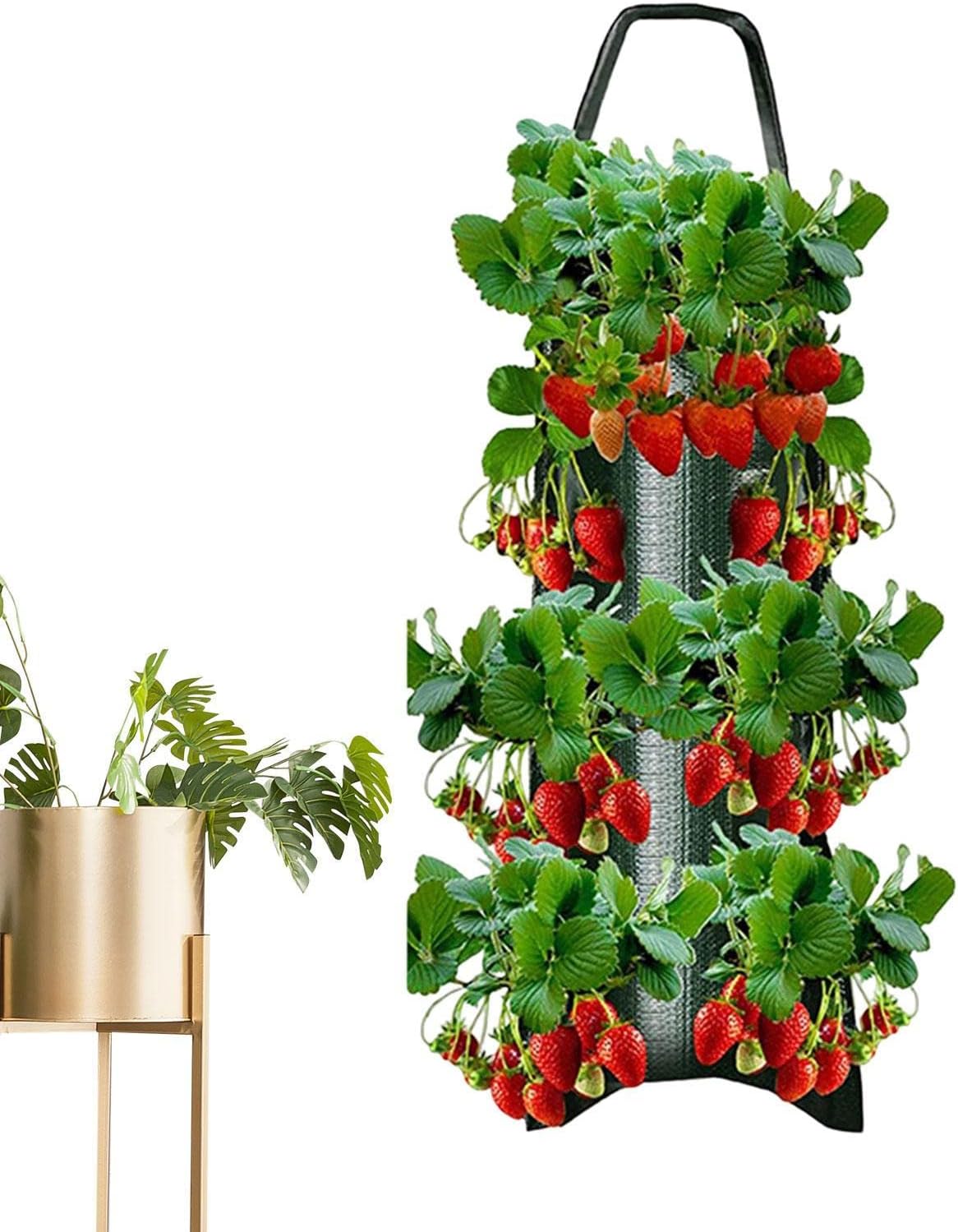Floreira Invertida Cultivo Tomate Interior Alca suspensao resistente