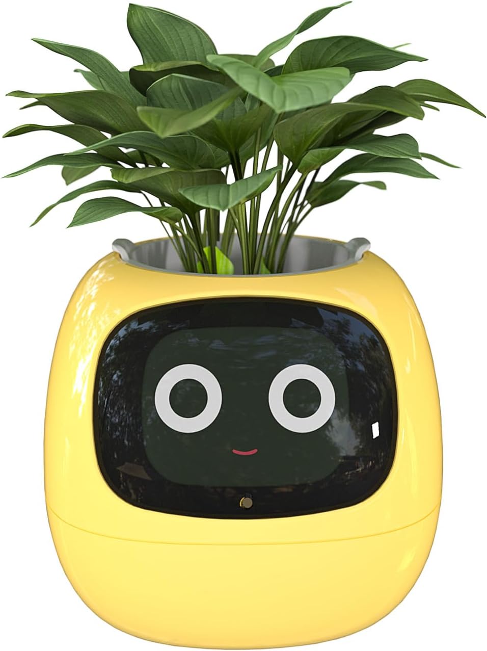 Masdio Vasos de flores inteligentes, com inteligência artificial, exibição de temperatura de tempo e inúmeras animações expressivas baseadas no ambiente, para decoração de interiores, presentes 1 Masdio Vasos de flores inteligentes com inteligencia artificial exibicao de