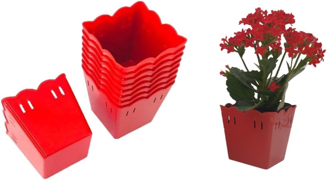 12 Mini Cachepôs Plástico 8cm Cachepot para Lembrancinha, Decoração, Festas e Mimos (Vermelho) 1 12 Mini Cachepos Plastico 8cm Cachepot para Lembrancinha Decoracao Festas
