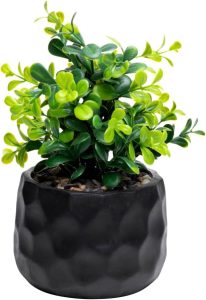 WOLFF - Cachepot de Cimento com Planta Artificial Prisma Preto 10cm x 29cm