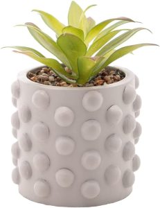 Cachepot de Cimento com Suculenta Bubbles Cinza Claro 10cm x 17cm - Wolff