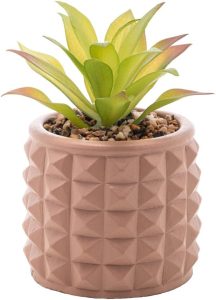 Cachepot de Cimento com Suculenta Spikes Marrom 10cm x 15cm - Wolff