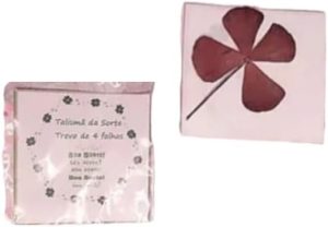 Kit 10 Trevo De 4 Folhas Natural Talismã Amuleto Da Sorte 1 Kit 10 Trevo De 4 Folhas Natural Talismã Amuleto Da Sorte