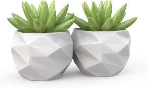 2 Vasinhos Cachepot Suculenta Ervas Decora Mesh Mini P75