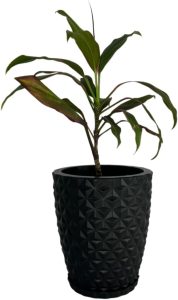 Vaso para Planta modelo Coluna Diamante tamanho PP 30cm de altura (Preto)