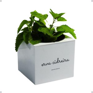 Kit Horta Vertical Vaso + Sementes e Substrato Para Chá Jardineiras Salmão (Erva-Cidreira, Rosa Salmão, 1)