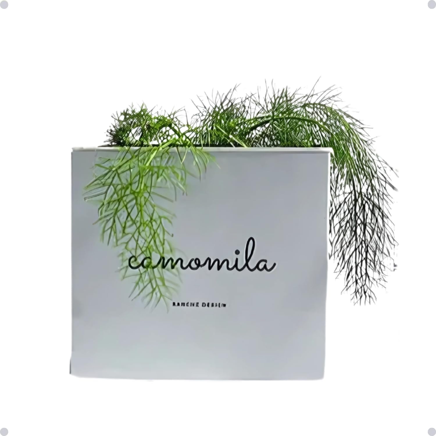 Kit Horta Vertical Vaso + Sementes e Substrato Para Chá Jardineiras Salmão (Camomila, Rosa Salmão, 1) 1 1744119065 49 Kit Horta Vertical Vaso Sementes e Substrato Para Cha