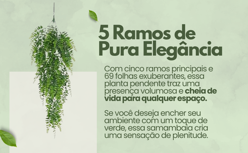 5 Ramos de Pura Elegância