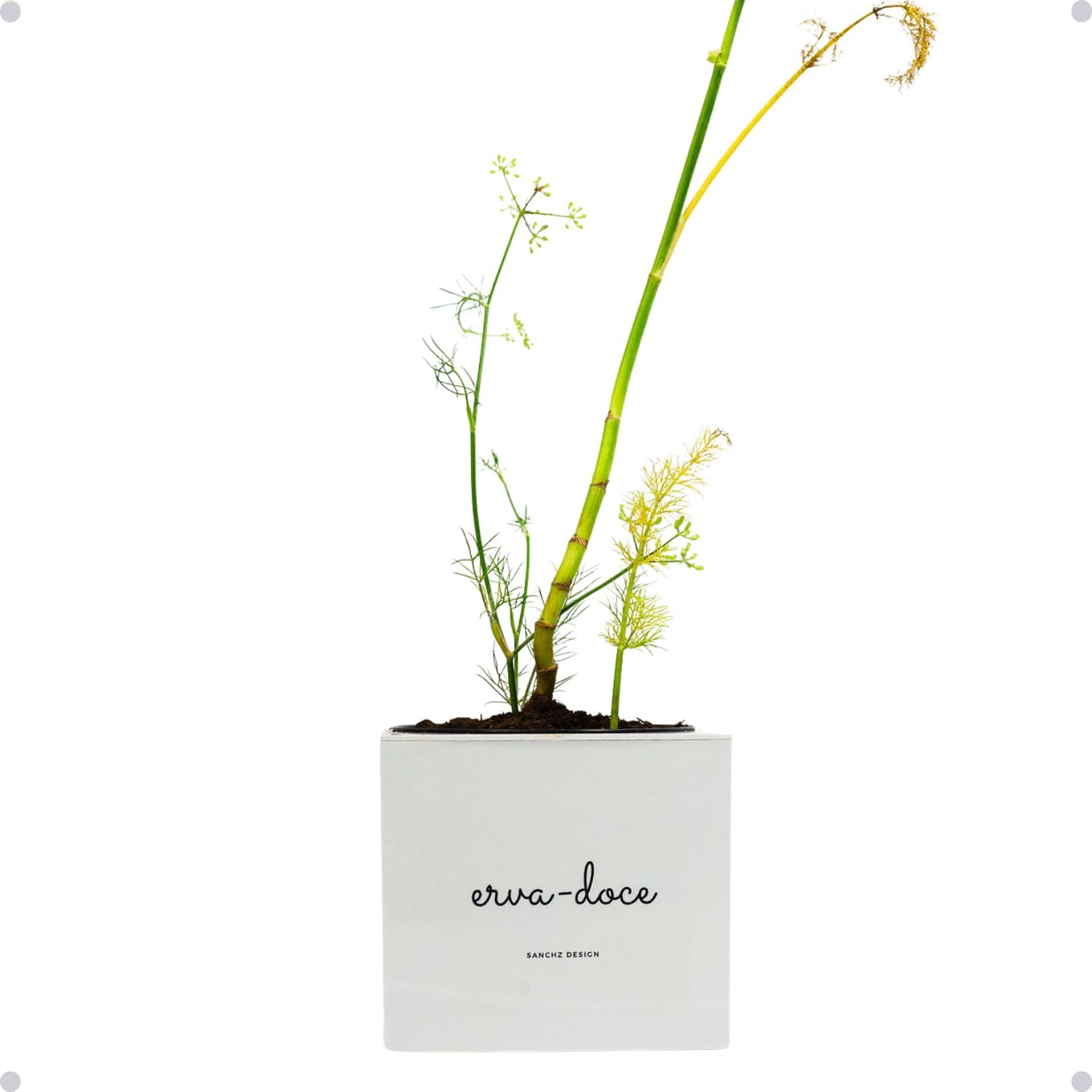 Kit Horta Vertical Vaso + Sementes e Substrato Para Chá Jardineiras Salmão (Erva-Doce, Cinza Claro, 1) 1 1744140181 852 Kit Horta Vertical Vaso Sementes e Substrato Para Cha