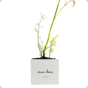 Kit Horta Vertical Vaso + Sementes e Substrato Para Chá Jardineiras Salmão (Erva-Doce, Cinza Claro, 1)