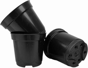 100 Vasinhos Coloridos Pote 6 De 80ml Castos E Suculentas lembrancinha (PRETO)