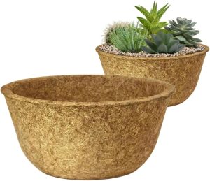 Vaso Cuia Natural Xaxim de Fibra de Coco 19x12cm Ecológico Pequeno Único Para Planta Suculenta Cacto e Rosa do Deserto