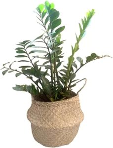 Cesto Vaso de Palha para Flores Planta com Alça Decorativo