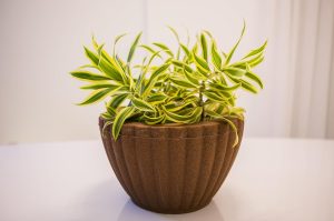VASOS POLIETILENO BACIA GREGA DECORATIVO P/PLANTAS/JARDINS/ESCRITÓRIOS LUXO (MARROM)