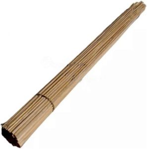 Kit 50 Estacas De Planta Haste Natural Bambu 80cm