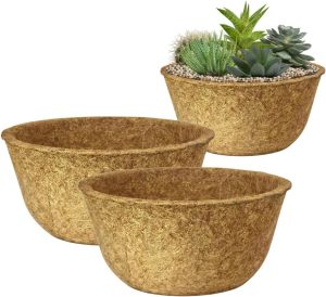 Kit 2 Vaso Cuia Natural Xaxim de Fibra de Coco 19x12cm Ecológico Pequeno Único Para Planta Suculenta Cacto e Rosa do Deserto