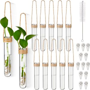 Baderke Pacote com 12 vasos de propagação de plástico pendurados na parede, estação de propagação de plantas, vasos de flores para decoração de flores hidropônica, casa, escritório, jardim, decoração 1 Baderke Pacote com 12 vasos de propagação de plástico pendurados na parede, estação de propagação de plantas, vasos de flores para decoração de flores hidropônica, casa, escritório, jardim, decoração