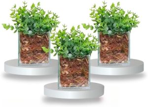 Kit 3 Vasinhos De Vidro Com Planta Artificial Permanente DecoraçãO