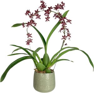 Vaso de Mesa para Plantas Decorativo Cachepot de Cerâmica (Verde)