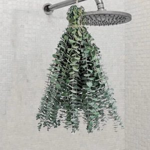 Hastes secas de eucalipto para chuveiro, 43 cm 100% natural folhas de eucalipto fresco ramos para decoração de casa de casamento (28)