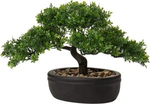 Bonsai artificial de zimbro, plantas falsas para ambientes internos, pequenas plantas falsas, decoração com vasos de cerâmica para casa, mesa, escritório, banheiro, prateleira, quarto, sala de estar,