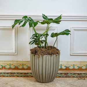 Vaso Redondo Cacau 55 x 55 cm - VASART 1 Vaso Redondo Cacau 55 x 55 cm - VASART