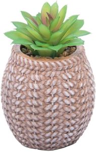 WOLFF Cachepot de Cerâmica com Suculenta Sisal 9,5cm x 9,5cm X 14,5cm