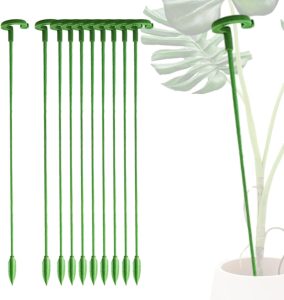 Apoio às Plantas,10/30- Planta fibra vidro Estacas Anel Suporte 3mm Espessura - Anéis suporte gaiola planta para tomate orquídea lírio peônia rosa haste Aitong