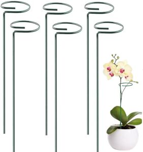 Kit 6 Tutor Suporte para Apoiar Plantas Hastes para Diversos Tipos de Plantas (45cm)