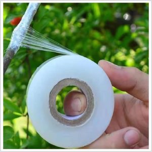 Fitas de vedação de plantas fita de enxertia de viveiro esticável transparente para mudas Fita de jardinagem de plantas de PVC Fita de planta de enxerto para árvores florais e frutíferas 5cm x 70m
