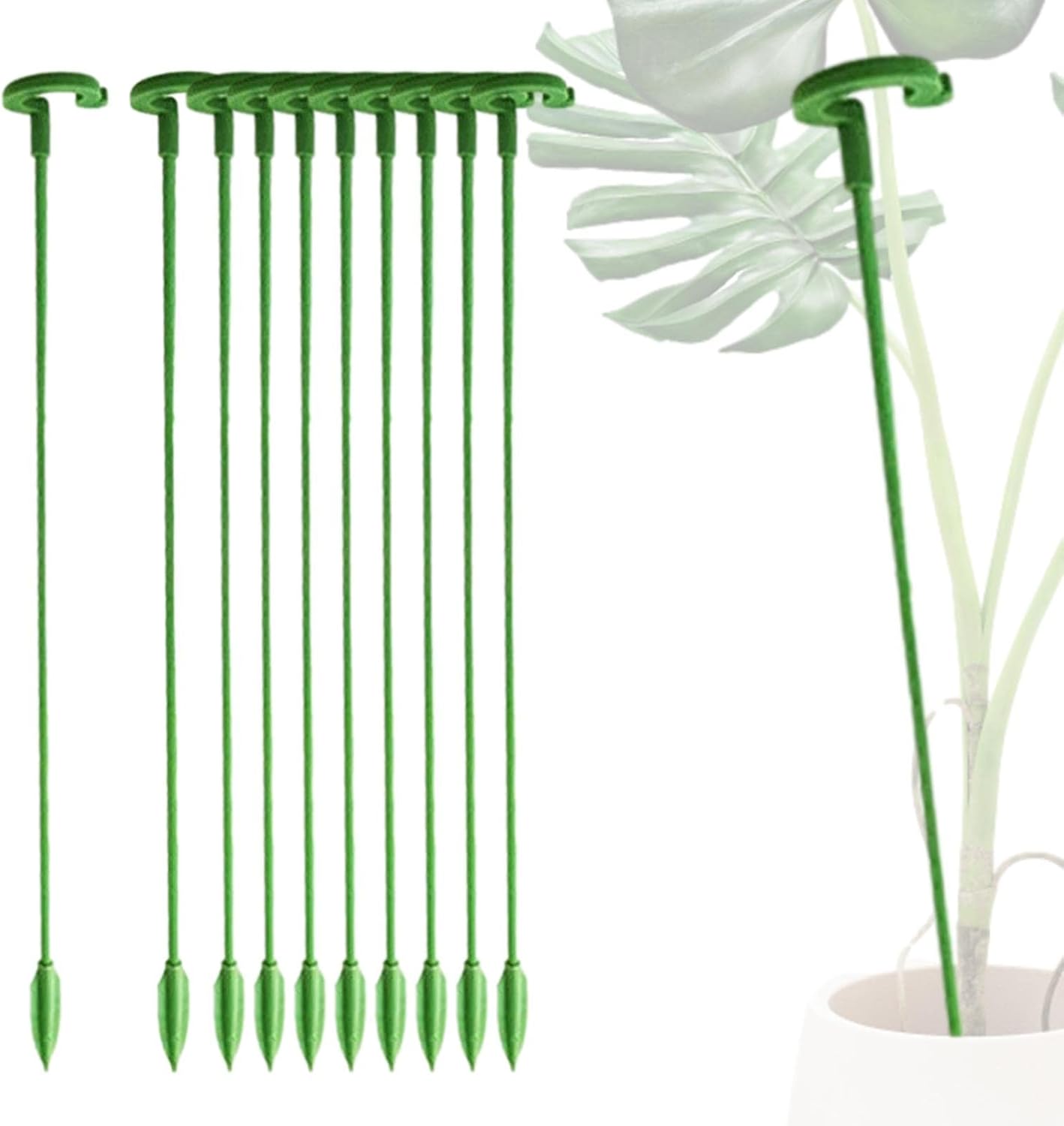 Apoio às Plantas,10/30- Planta fibra vidro Estacas Anel Suporte 3mm Espessura - Anéis suporte gaiola planta para tomate orquídea lírio peônia rosa haste Aitong 1 Apoio as Plantas1030 Planta fibra vidro Estacas Anel Suporte 3mm