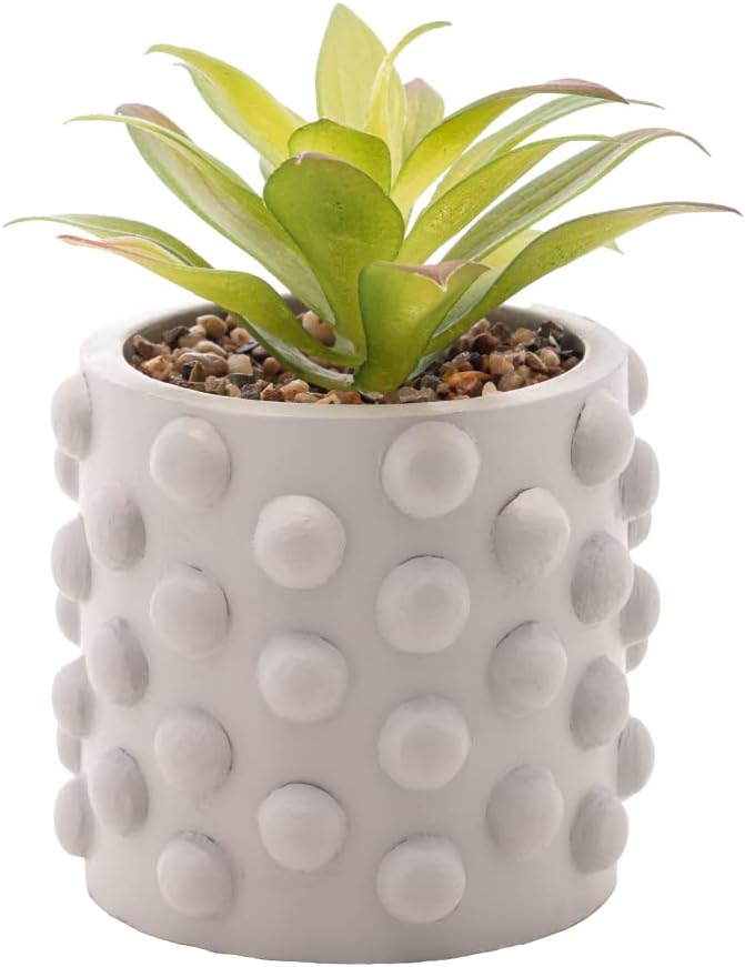 Cachepot de Cimento com Suculenta Bubbles Cinza Claro 10cm x 17cm - Wolff 1 Cachepot de Cimento com Suculenta Bubbles Cinza Claro 10cm