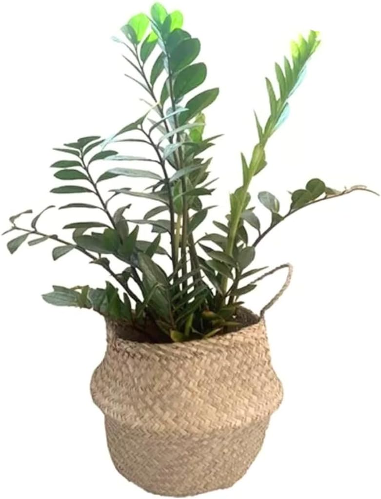 Cesto Vaso de Palha para Flores Planta com Alça Decorativo 1 Cesto Vaso de Palha para Flores Planta com Alca Decorativo